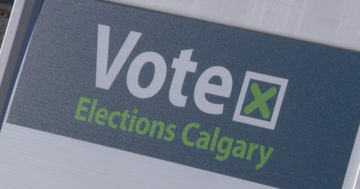 Elections Calgary to recount results in Ward 12, recount denied in Ward 9 - Calgary