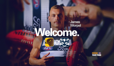 Cats land Worpel as restricted free agent