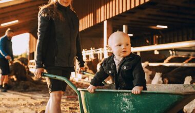 Building the future of EU agriculture with young farmers in focus