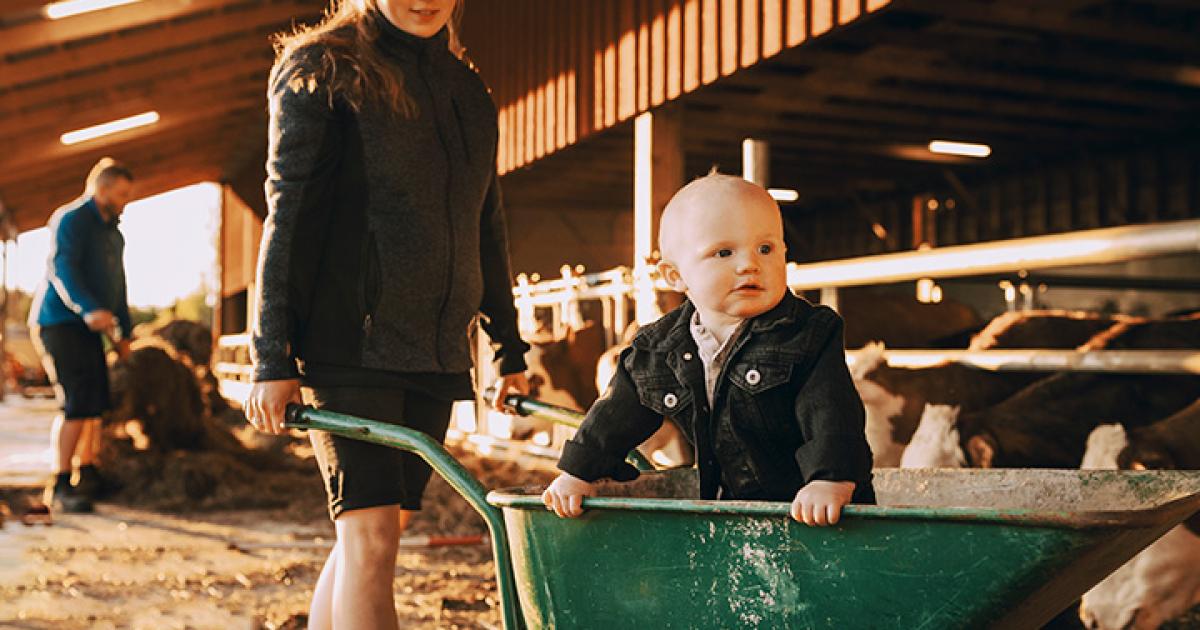 Building the future of EU agriculture with young farmers in focus