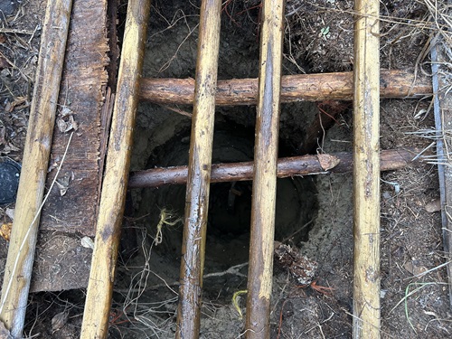 Police seek assistance locating remains of senior believed to have been murdered in 1990