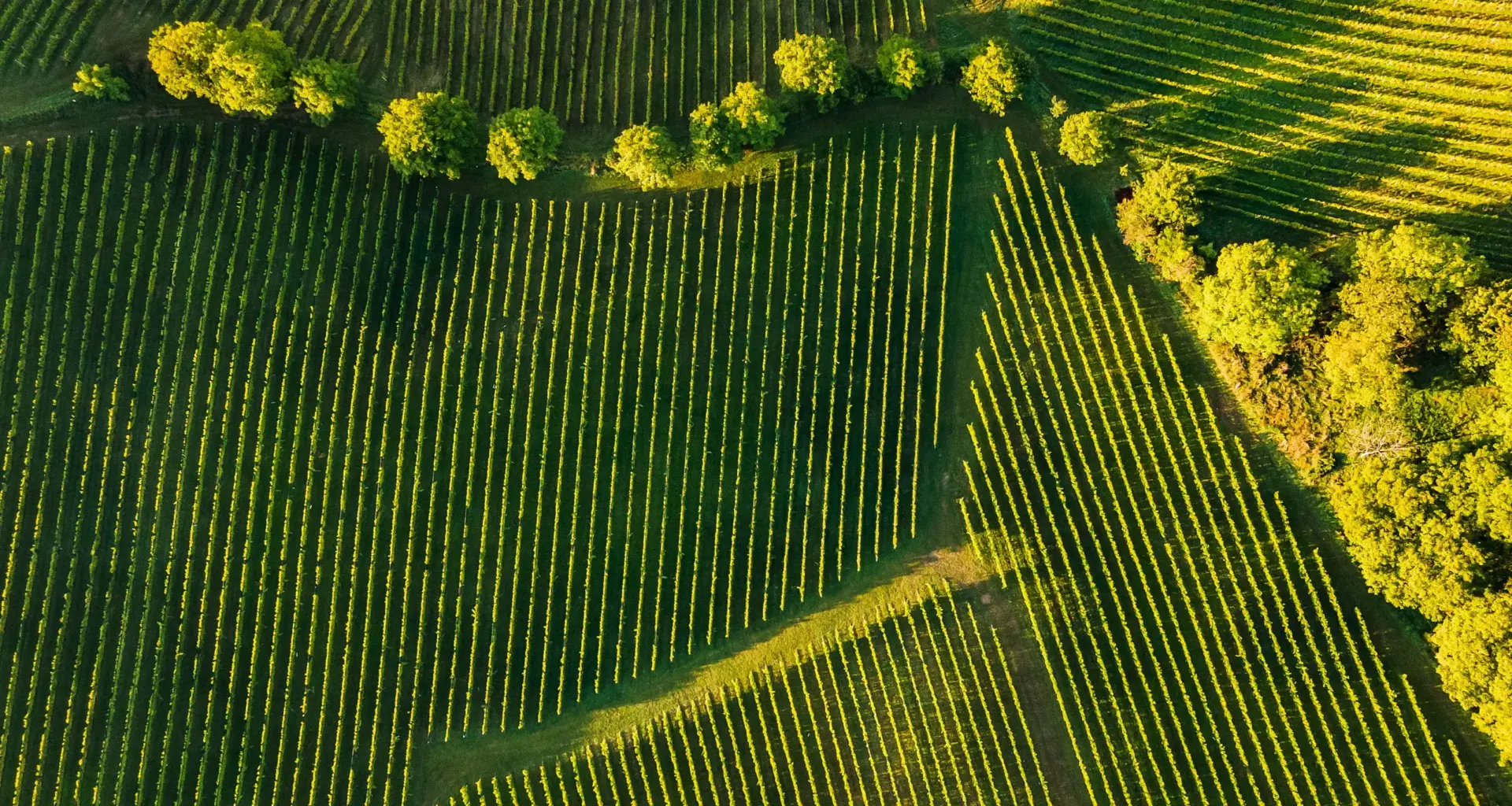 Measurement, Reporting & Verification (MRV) in Brazil