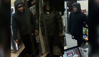 Suspects arrested after 72 parked vehicles damaged in Windsor, Ont. - CTV News