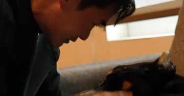 Bae Jeong-nam Bids Emotional Farewell to Beloved Pet Dog Bell - 조선일보