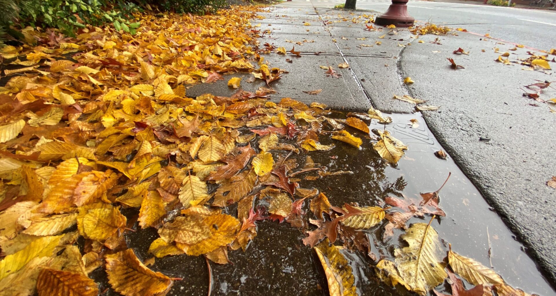 Environment Canada warns of high winds, power outages, snowfall on B.C. highways