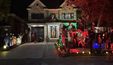 how Blue Jays fans do both