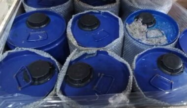 Thousands of litres of precursor chemicals from China seized at B.C. border: officials - CTV News