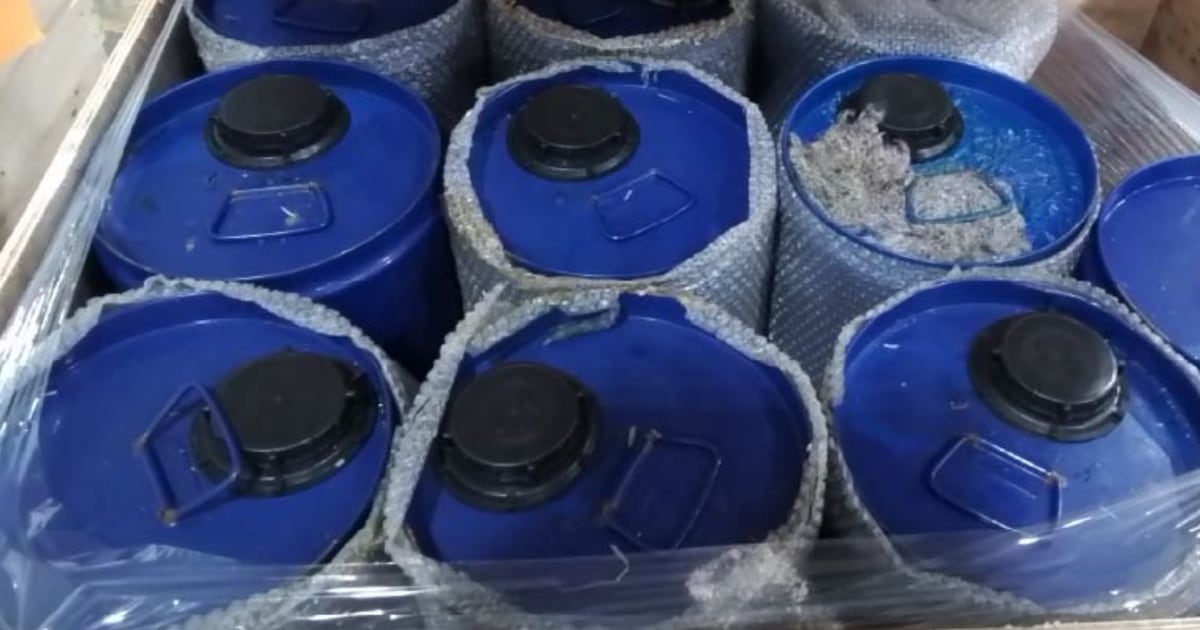 Thousands of litres of precursor chemicals from China seized at B.C. border: officials - CTV News