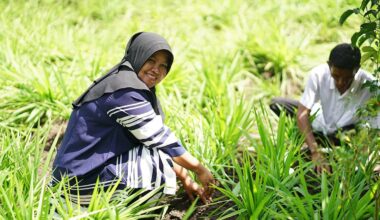 Woman and man planting