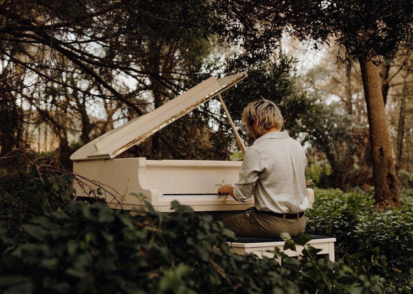 SunLive - Baby grand piano in the wild