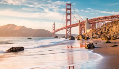 U.S. drops out of world’s most powerful passport top 10 list for the first time - CTV News