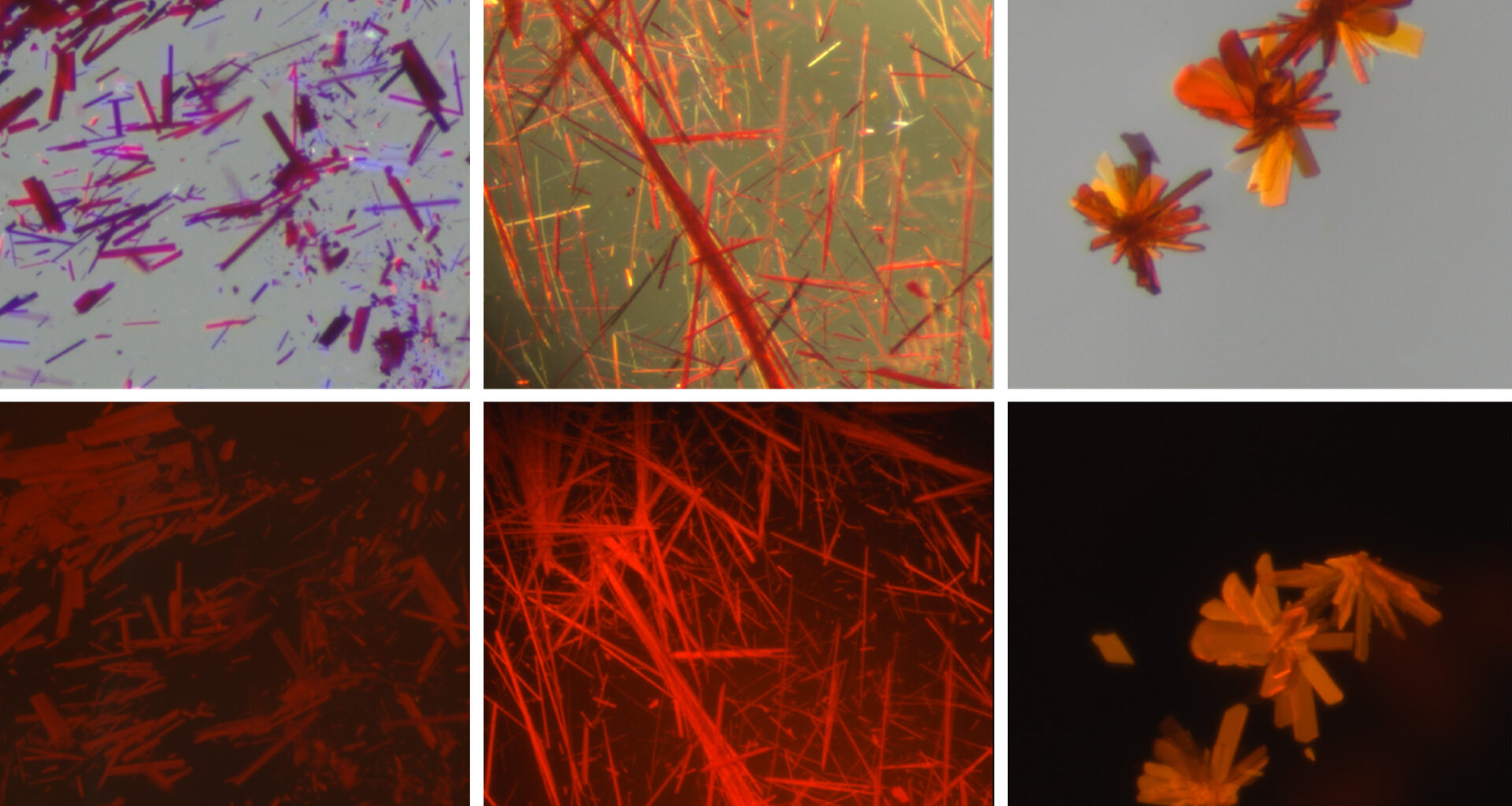 Chemists create red fluorescent dyes that may enable clearer biomedical imaging | MIT News