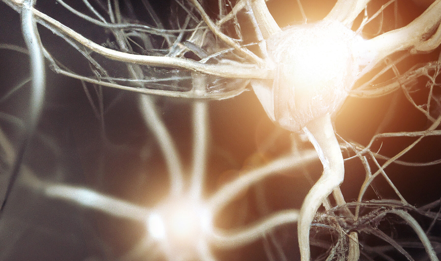 Subgroups of Interneurons Regulate Learning and Fear Responses