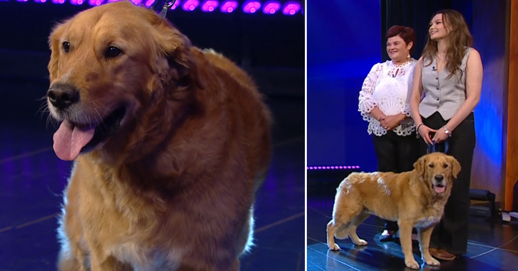 Marvellous Misty impresses on the Late Late!