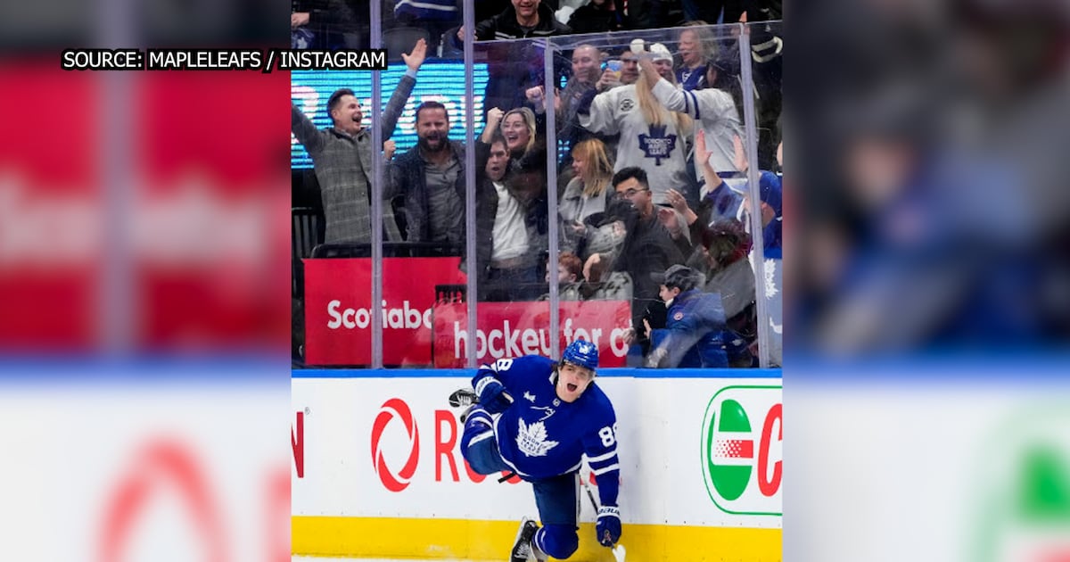 Ontario minister attended Leafs game, wedding with those seeking grants from Skills Development Fund: reports - CTV News