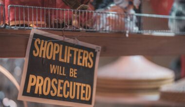 Why experts ‘wouldn’t recommend’ confronting shoplifters themselves, like Premier Doug Ford - CTV News