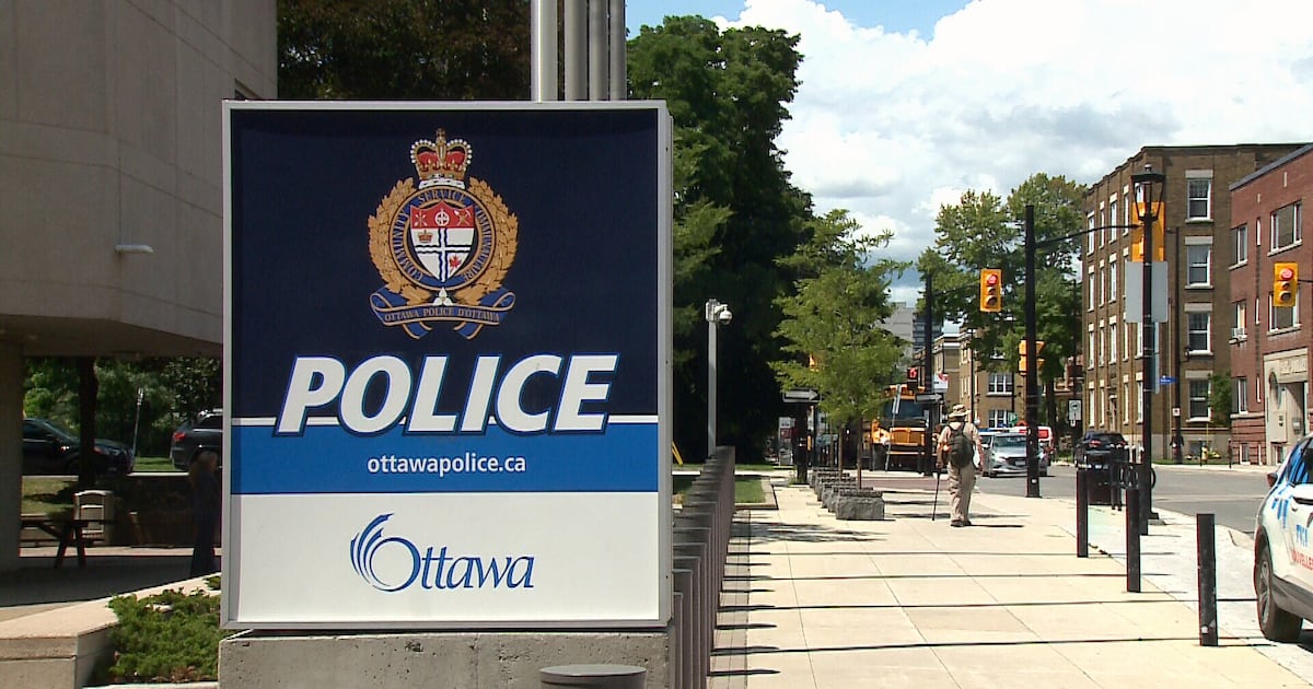 Police execute second drug bust at Ottawa magic mushroom shop - CTV News