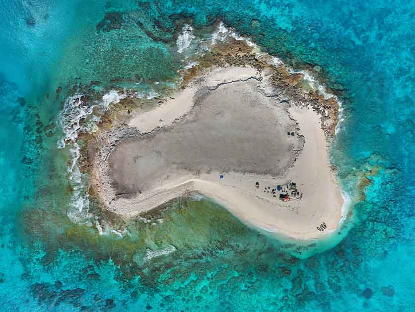 Out of the Lab and into Nature: Going to the Ends of the Earth to Better Understand the Brain - Life Sciences | Weizmann Wonder Wander