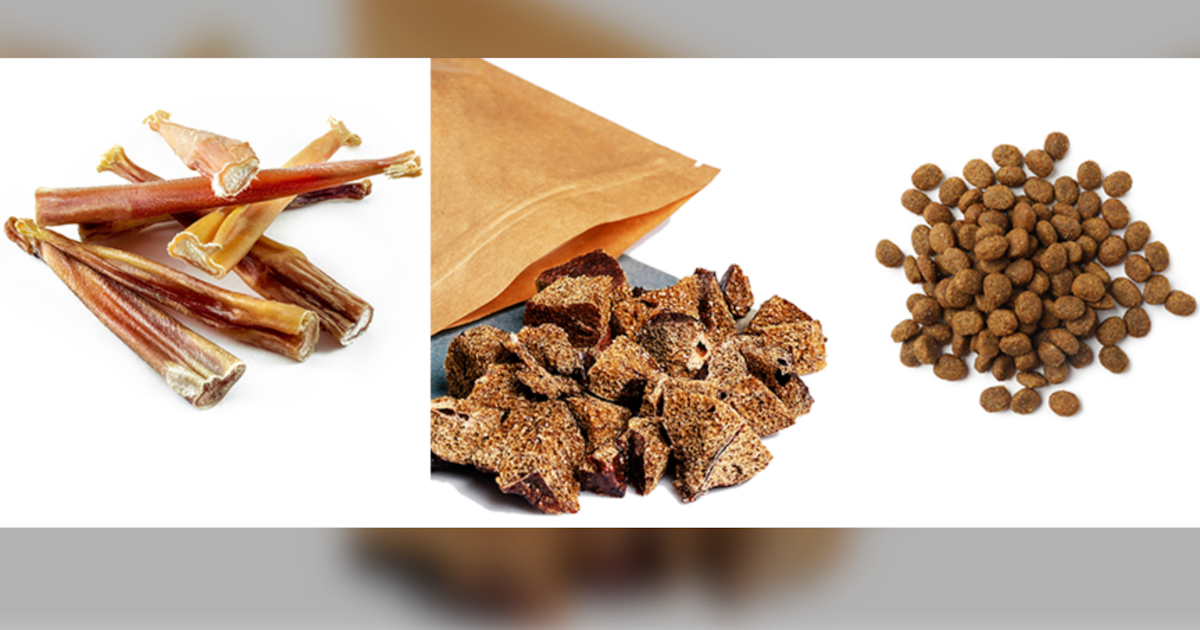 At least 31 sick, 7 hospitalized in salmonella outbreak linked to dog food - CTV News