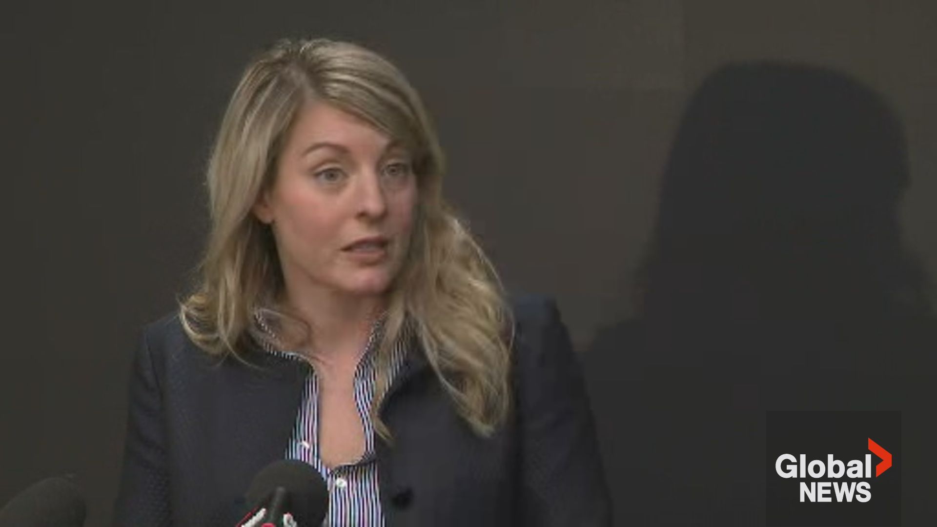 Click to play video: 'Honda, Stellantis promise no job losses, continued commitment to EV sector: Joly'