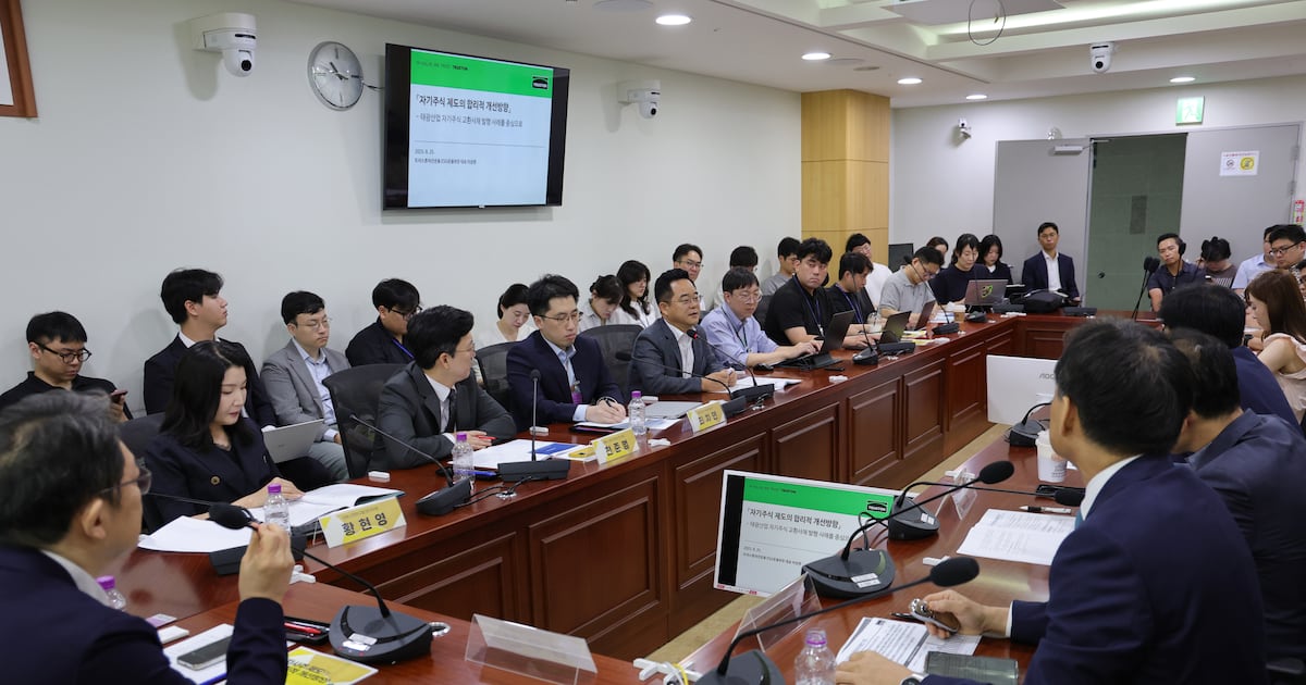 Self-Stock Cancellation Mandate Sparks EPS vs Incentive Debate - 조선일보