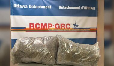 Man sentenced following cannabis seizure at Ottawa airport