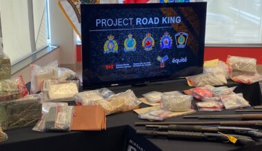 Niagara police seize 38 stolen vehicles and quantity of drugs and guns following investigation into ‘criminal network’ - CTV News