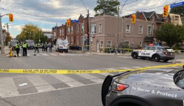 Woman in her 70s dead after being struck by vehicle in Toronto’s west end - CTV News