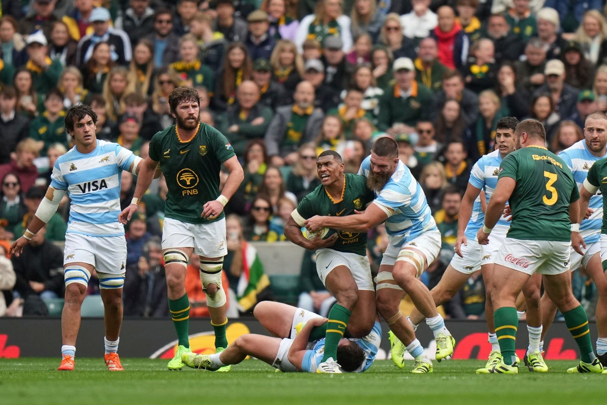 Argentina v South Africa live: Latest result and reaction as Springboks survive brutal battle to win Rugby Championship title