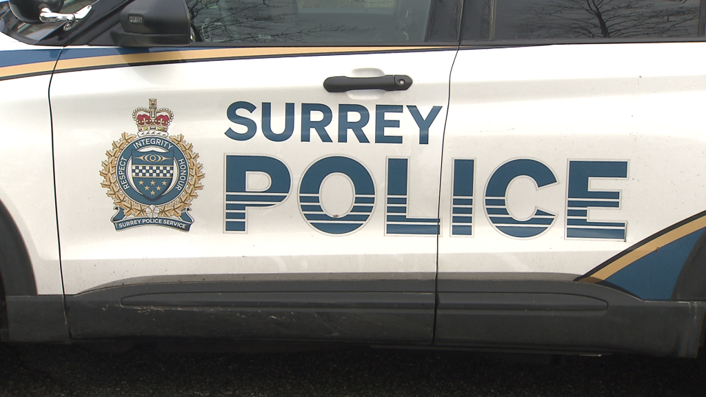 Surrey police investigate shots fired at home overnight