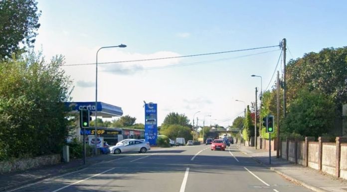 Woman And Dog Struck By Car in Hit And Run Incident In Ennis