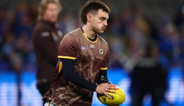 Hawks defender delisted after 28 games in five seasons