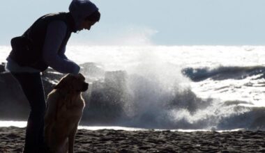 Wind gusts expected in parts of southern Ontario on Sunday afternoon