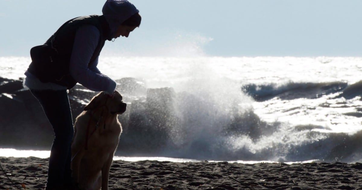 Wind gusts expected in parts of southern Ontario on Sunday afternoon