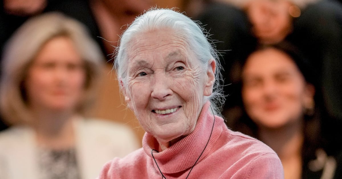 Jane Goodall’s final wish: blast Trump, Musk and Putin to space - CTV News