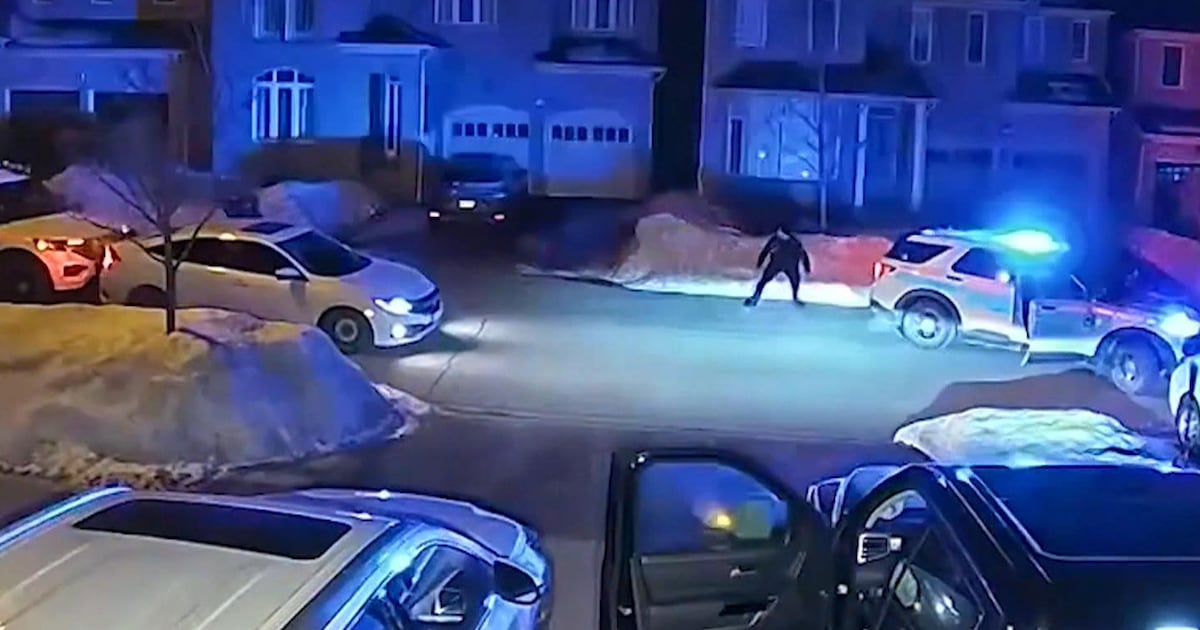 Police combatting auto theft in York Region