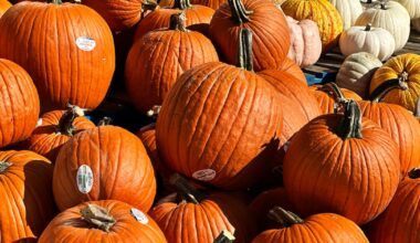 What is open in Toronto