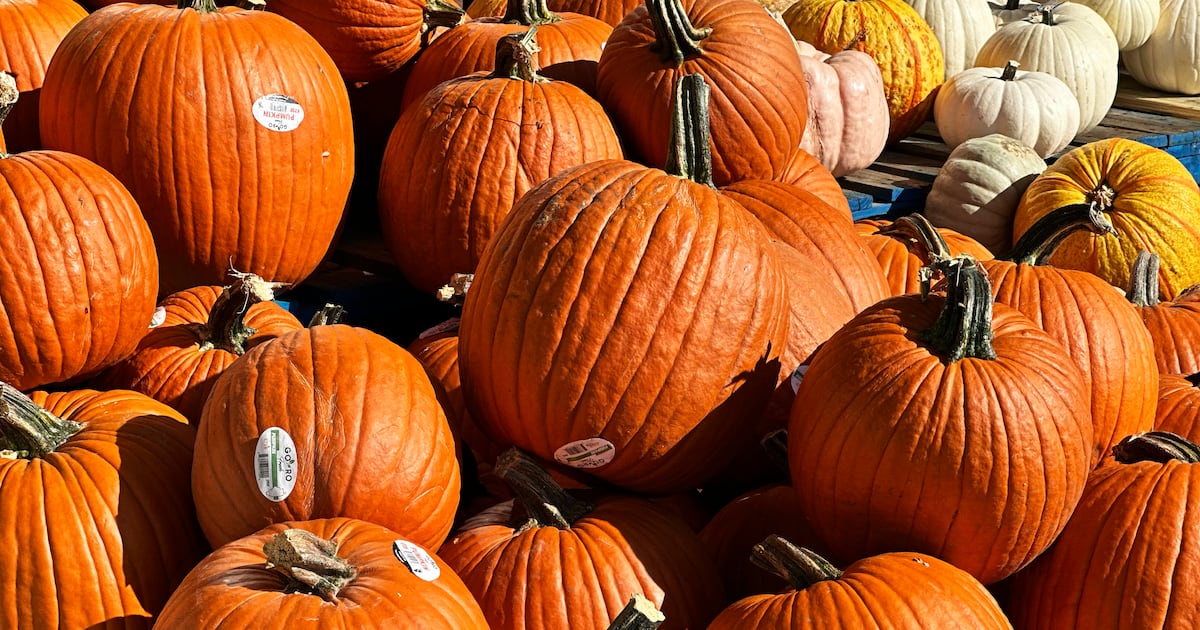 What is open in Toronto