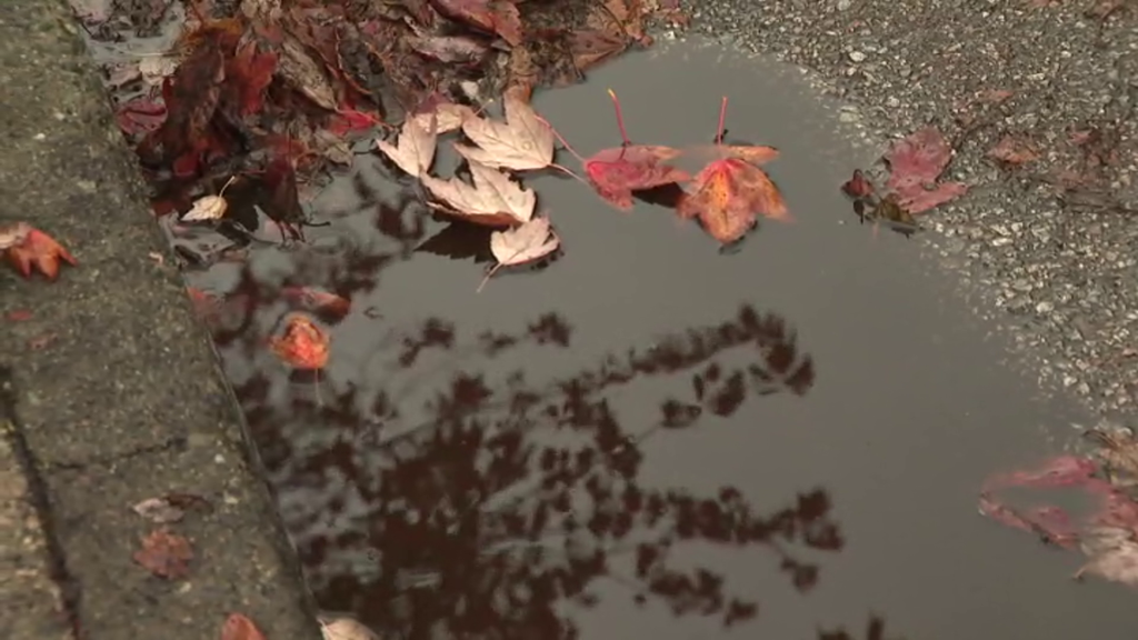 A clogged storm drain is seen in Vancouver