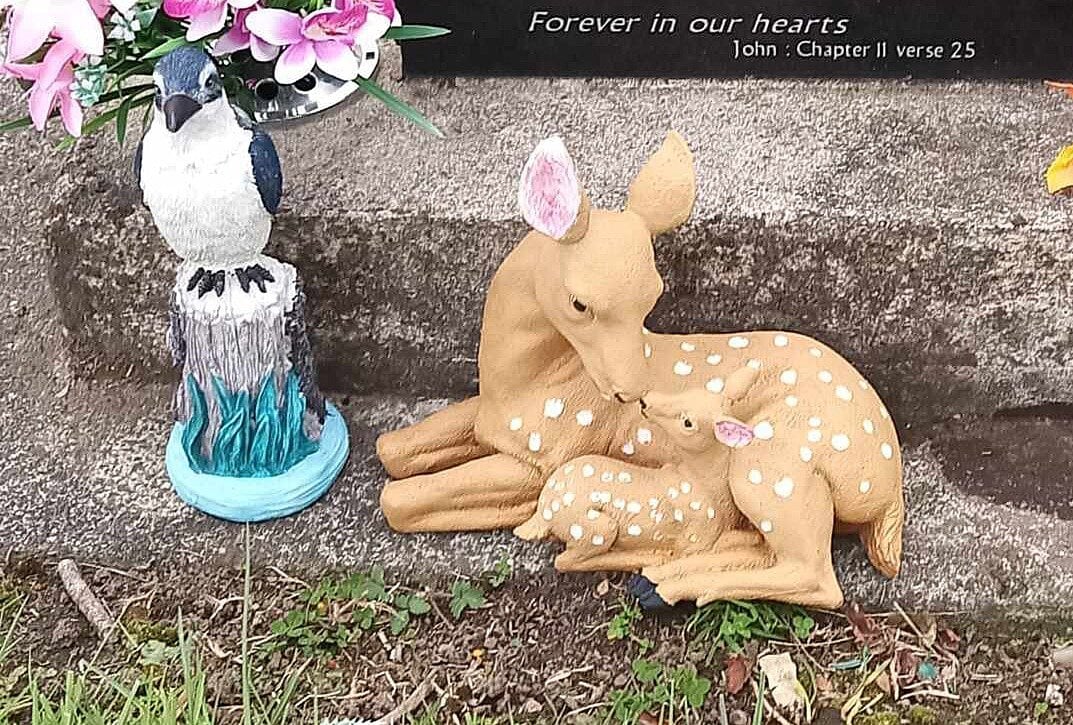 SunLive - Family upset over missing grave ornaments