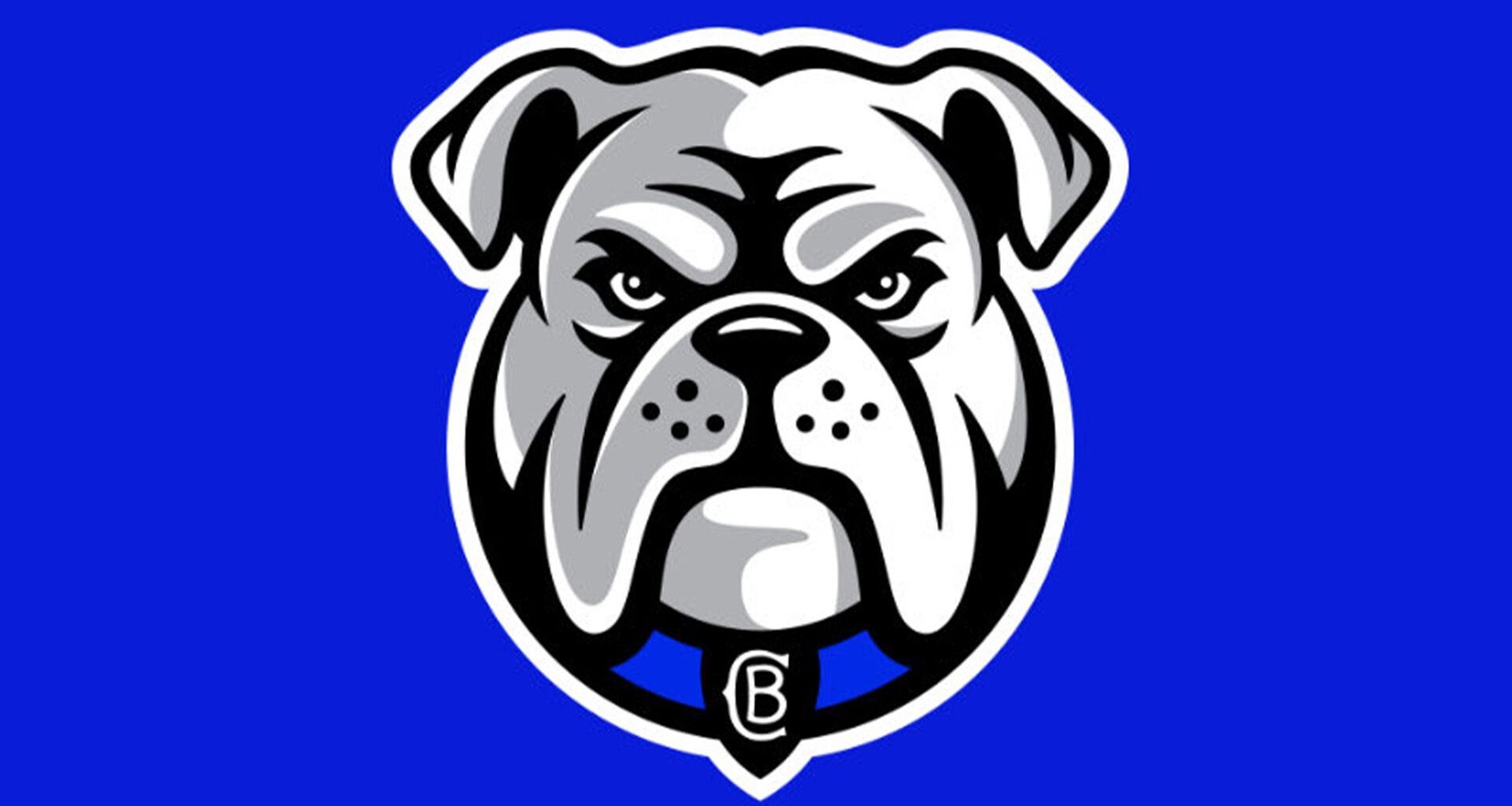 Canterbury-Bankstown Bulldogs new logo