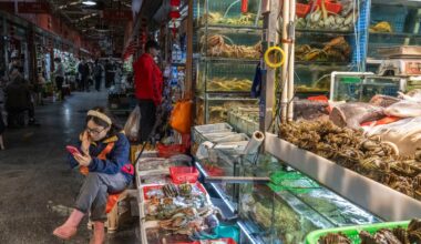 What Carney hopes to gain from a Canadian reset with Beijing