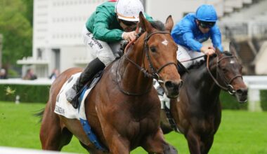 Zarakem To Stand For €4K At Haras De La Tuilerie