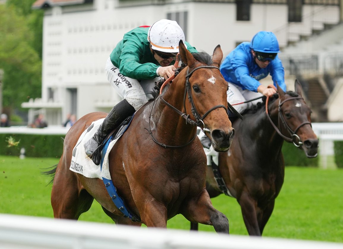 Zarakem To Stand For €4K At Haras De La Tuilerie