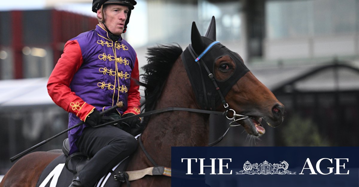 Gilded Water, owned by King Charles, is still set for the Geelong Cup, despite wild weather forcing the postponement of the race