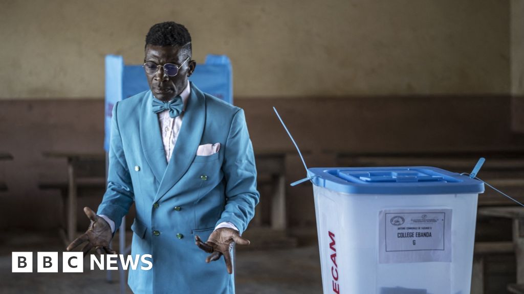 Cameroon election results: Constitutional Council dismisses complaints