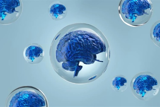 Top of Mind: AI: in a bubble? - Goldman Sachs