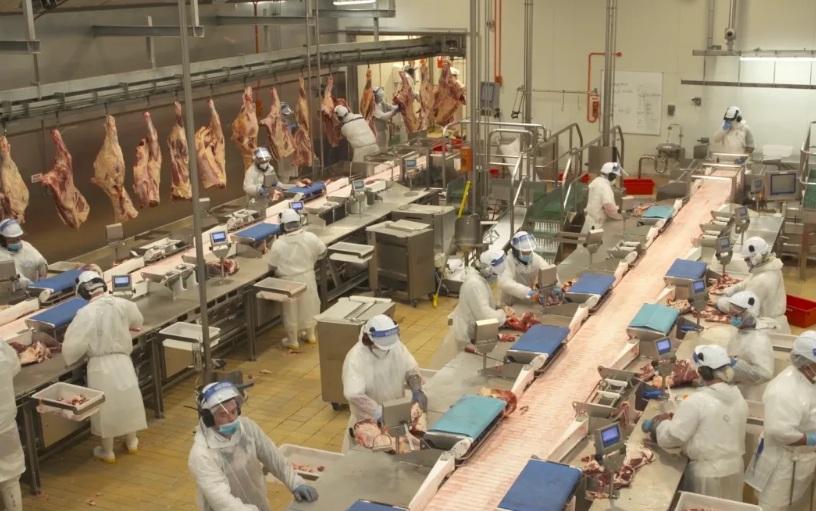 'Clear mandate': Alliance voters go with Dawn Meats deal