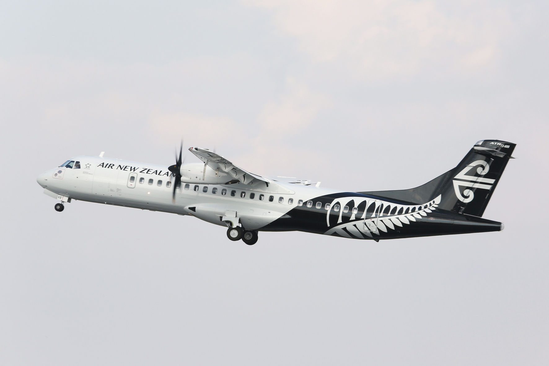 The ATR 72-600 aircraft encountered the bird strike moments after departing Invercargill. Photo:...