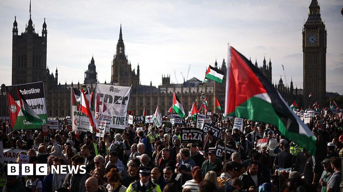 A large crowd of protesters holding Palestinian flags and placards are gathered with the Houses of Parliament in the background.